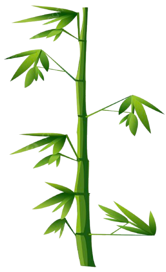 Poker Panda Bamboo